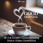 4K Full Screen Good Morning Status Video Download