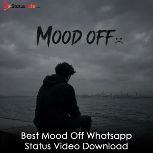 Best Mood Off Whatsapp Status Video Download