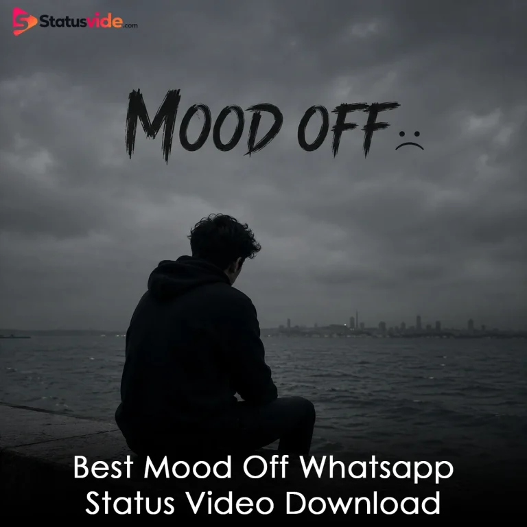 Best Mood Off Whatsapp Status Video Download