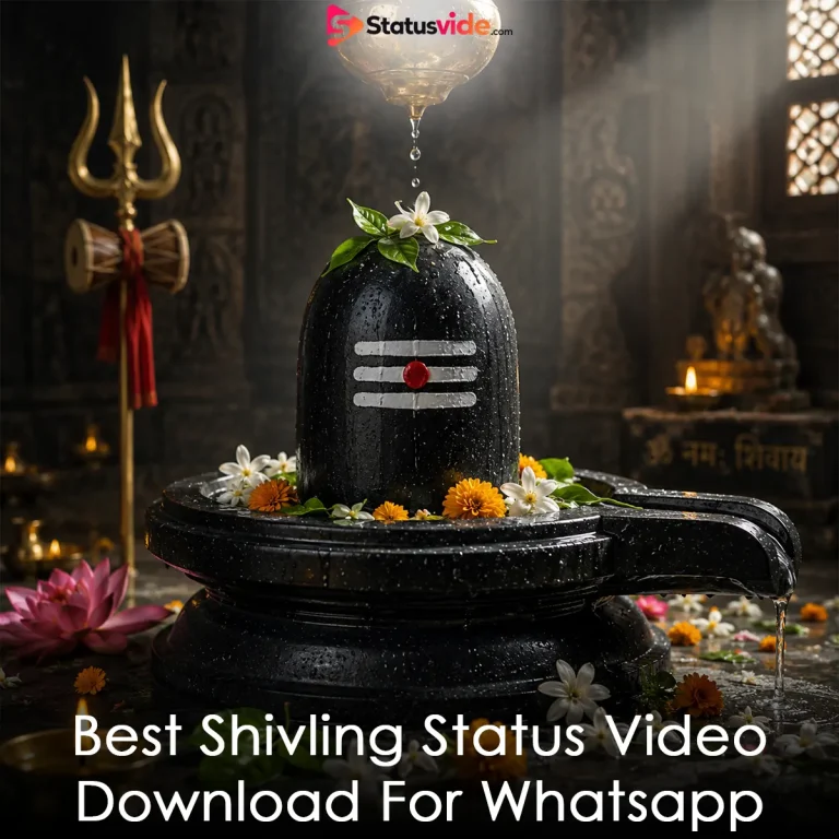 Best Shivling Status Video Download For Whatsapp