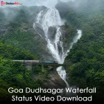 Goa Dudhsagar Waterfall Status Video Download