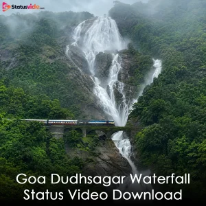 Goa Dudhsagar Waterfall Status Video Download