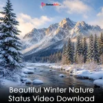 Beautiful Winter Nature Status Video Download