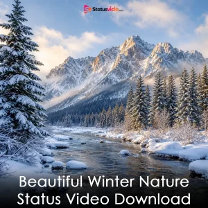 Beautiful Winter Nature Status Video Download