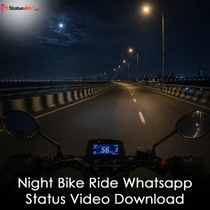 Night Bike Ride Whatsapp Status Video Download