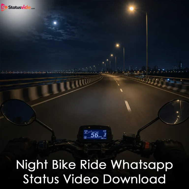 Night Bike Ride Whatsapp Status Video Download
